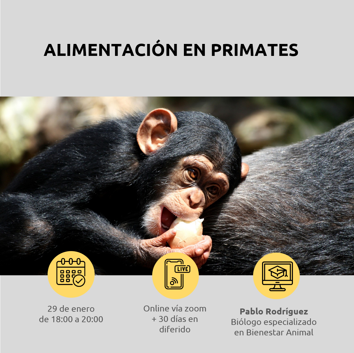 Lee más sobre el artículo Alimentación en primates
