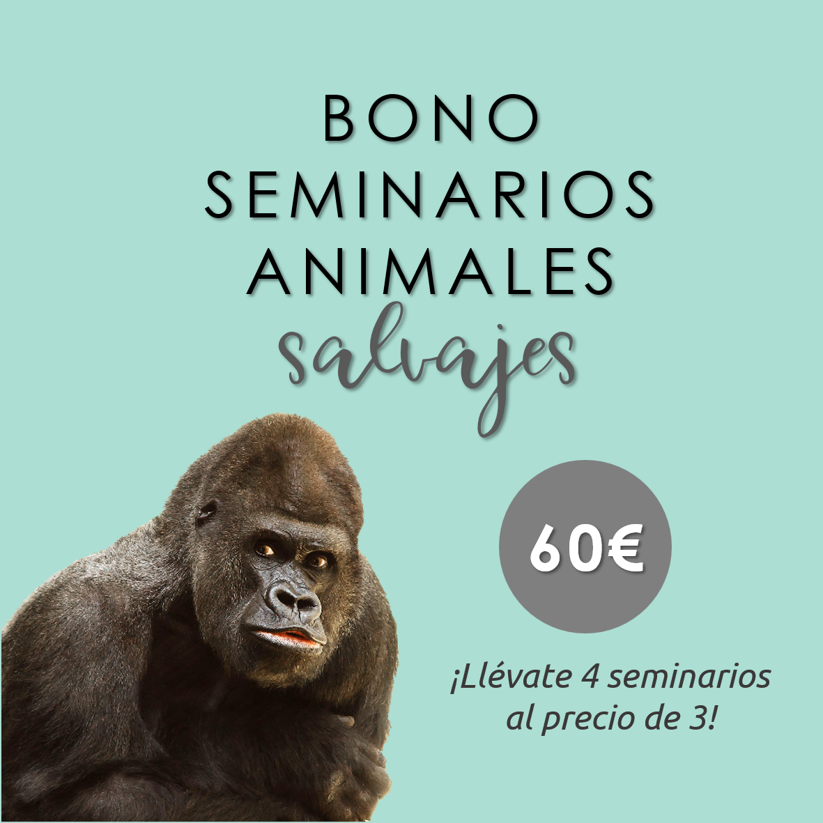 Lee más sobre el artículo Bono seminarios animales salvajes