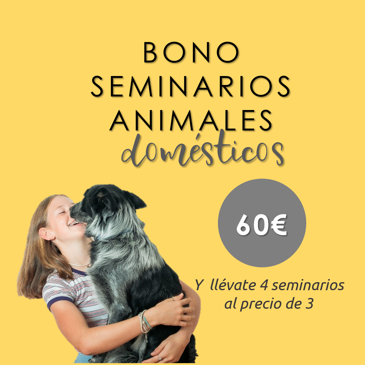 Lee más sobre el artículo Bono seminarios animales domésticos